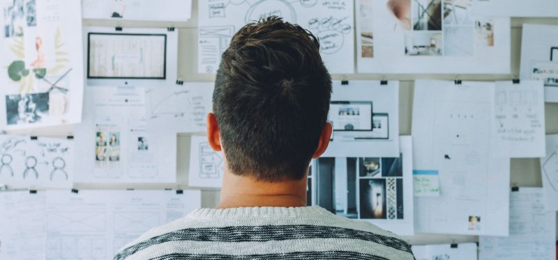 rapaz a olhar para painel com folhas