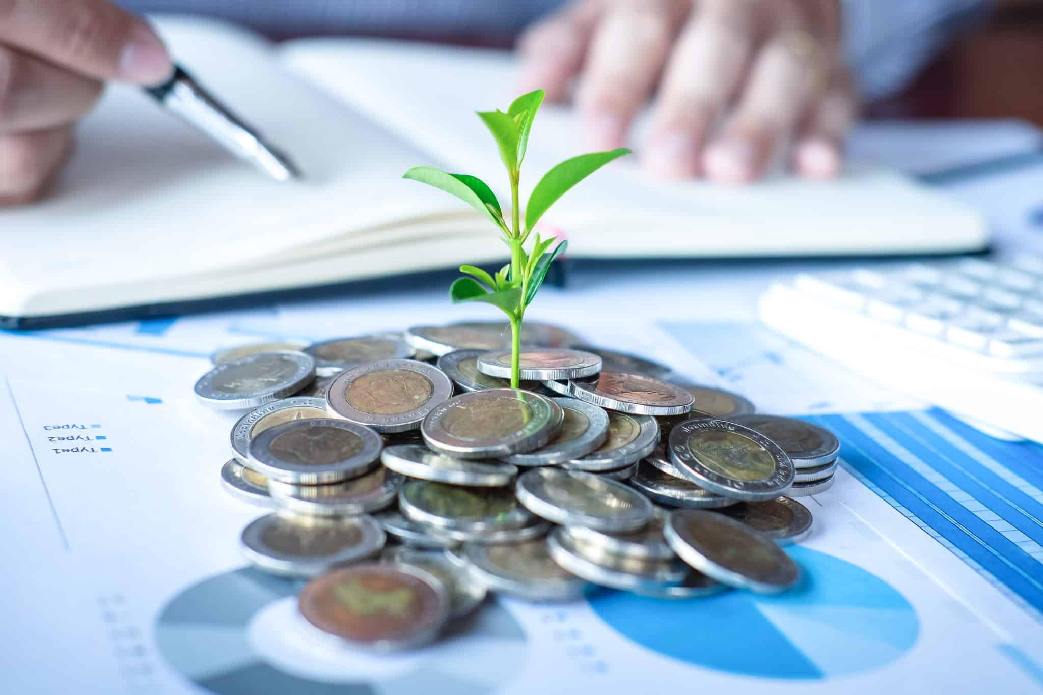 planta a crescer no meio de moedas