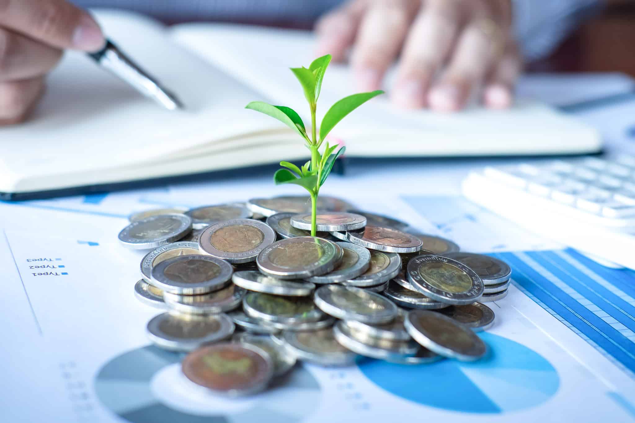 planta a crescer no meio de moedas
