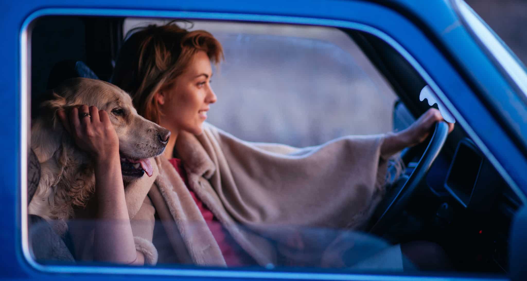 Mulher a viajar com cao ao lado