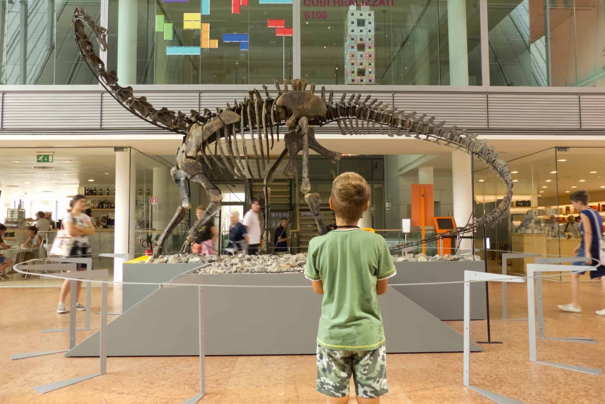 rapaz a olhar para esqueleto de dinossauro no museu