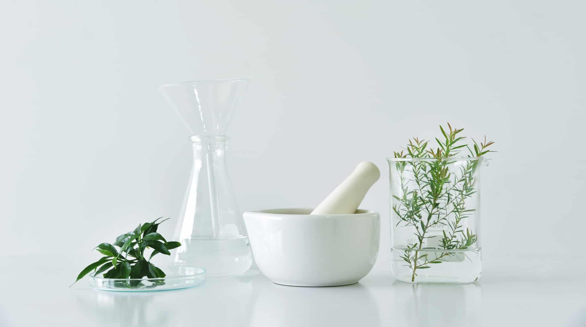 instrumentos de botanica