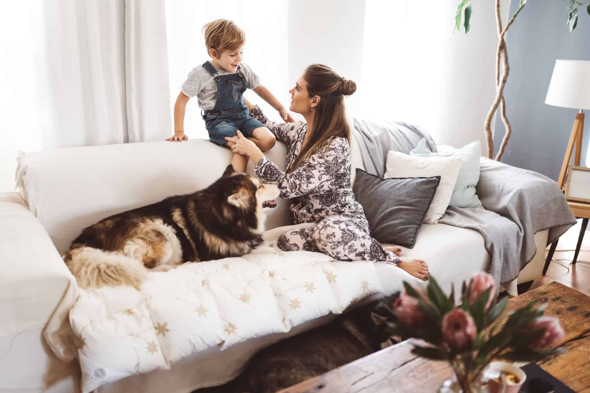 mãe com filho e cão no sofá em casa