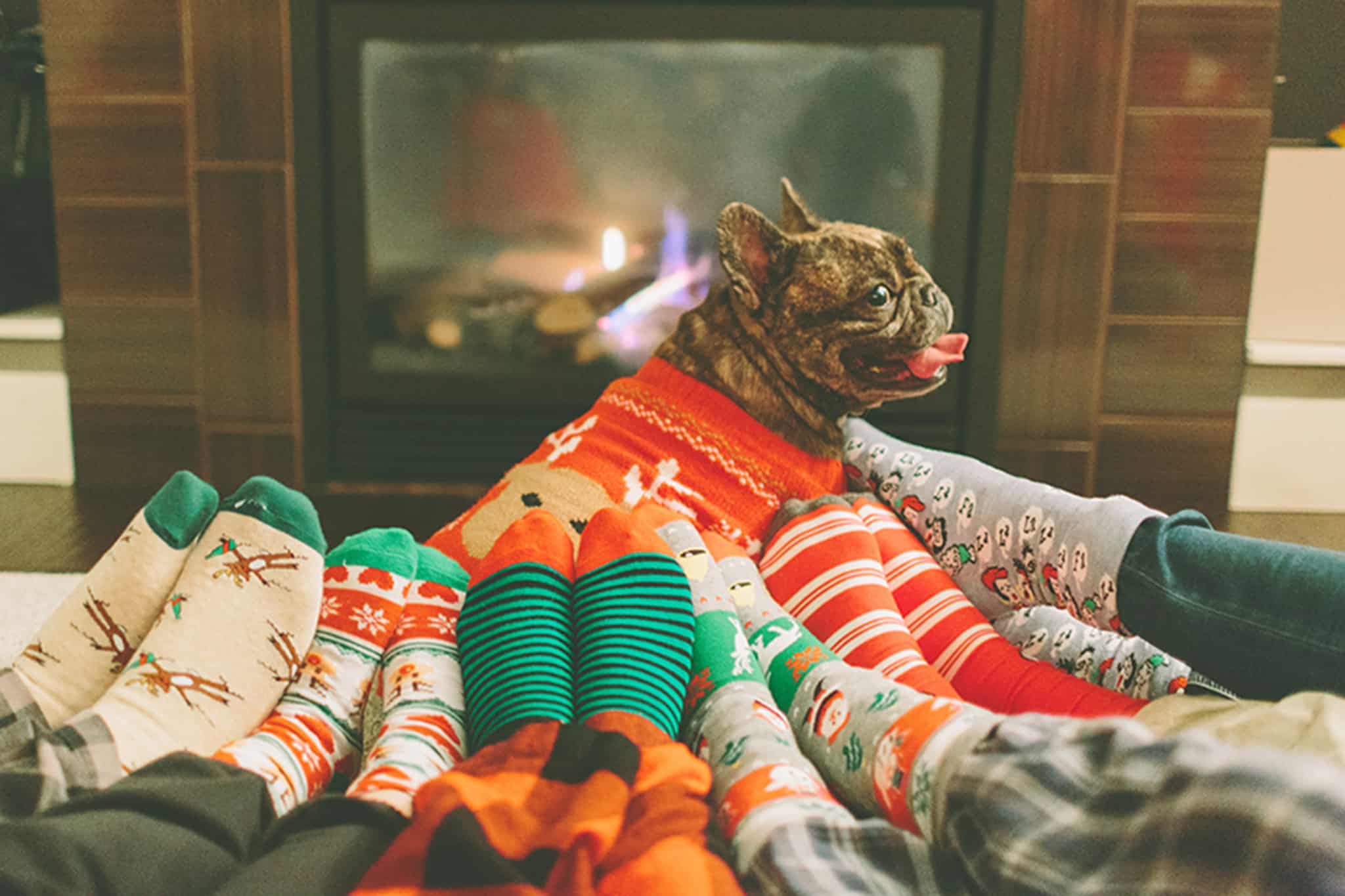 familia com meias de natal sentadas à frente da lareira e com um cão