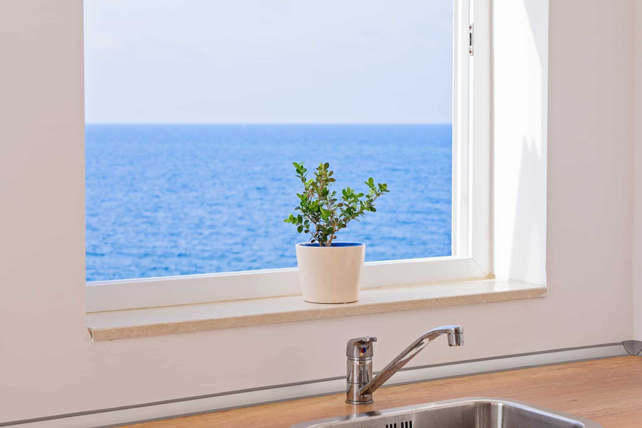 bacia de cozinha com planta e janela com vista para o mar