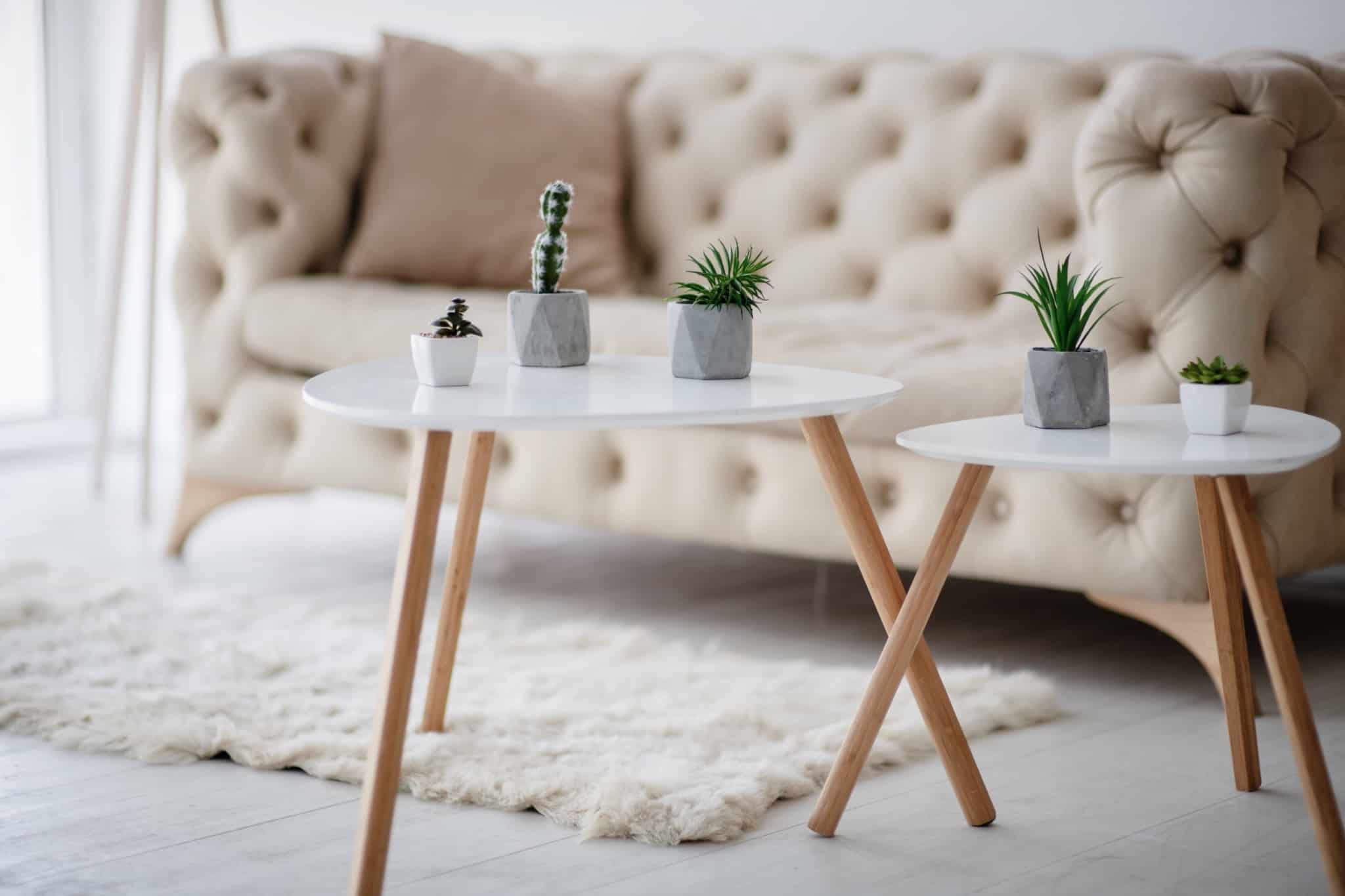 Sofá, mesa e uns vasos com catos numa sala
