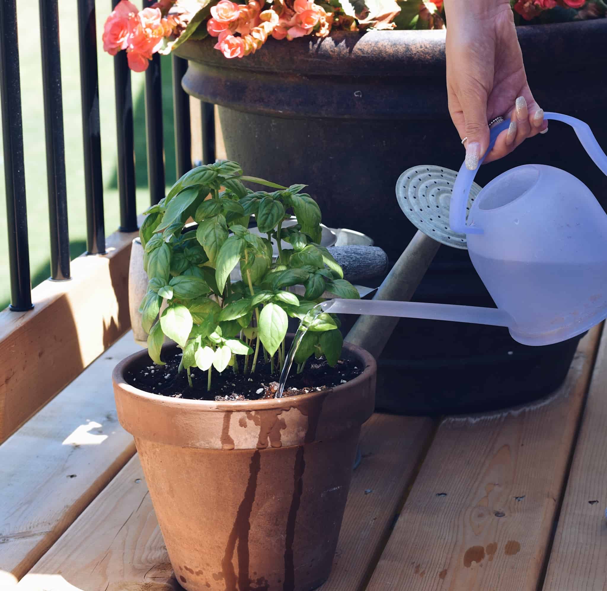 mulher a pegar num regador de plantas num vaso