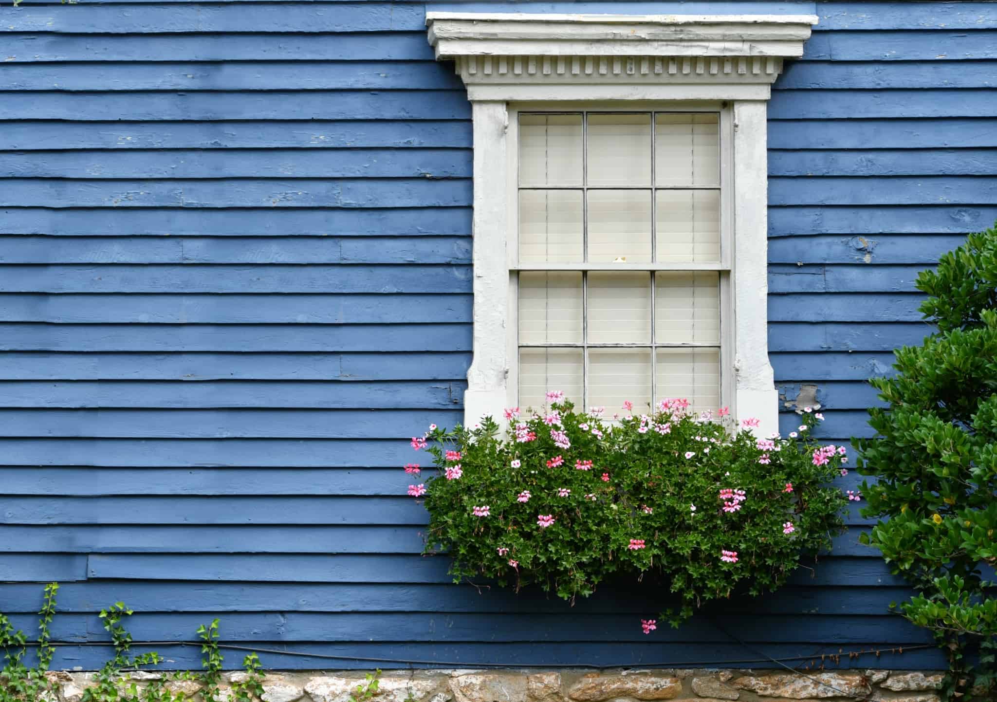 janela branca com flores rosa no exterior de uma casa azul