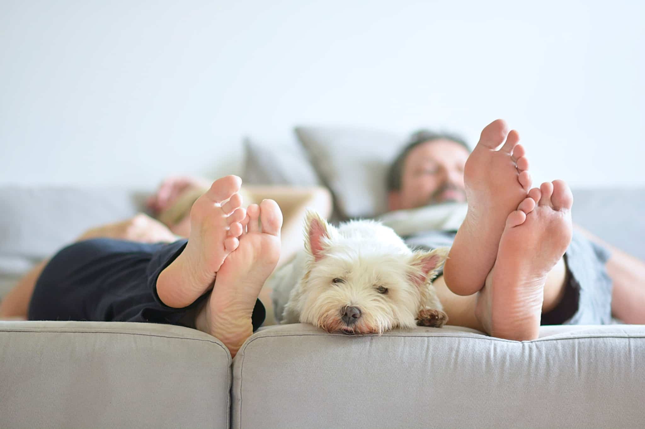 pés de um casal, que está deitado e entre eles está um cão