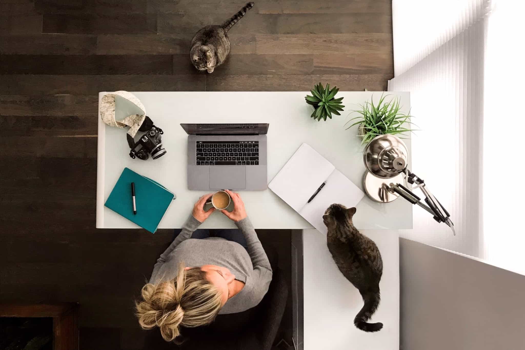 Rapariga sentada a uma mesa onde está o computador, uma máquina fotográfica e um caderno