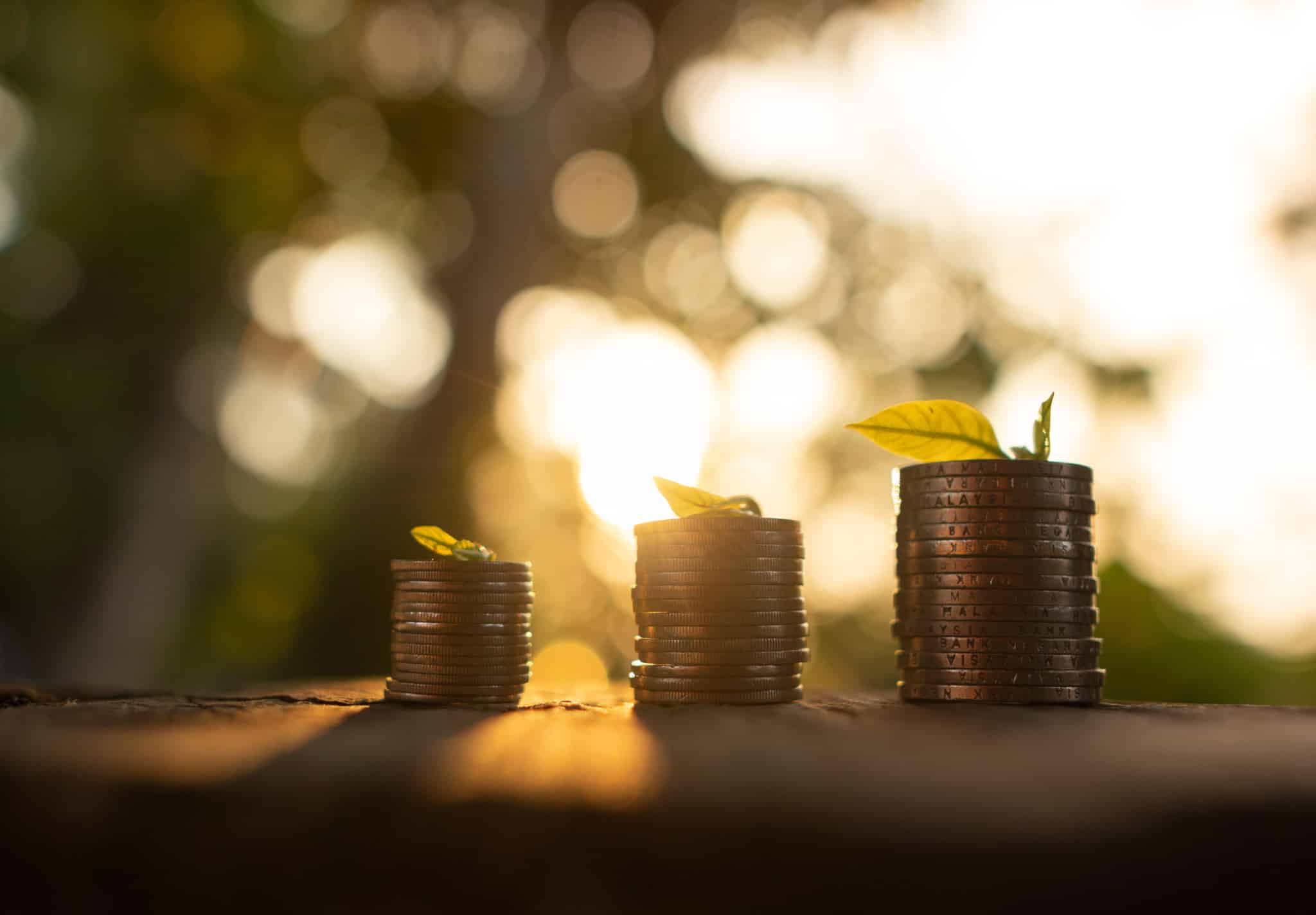 poupanças com pequenas pilhas de moedas que váo aumentando, num cenário com raios de sol e ambiente sustentável