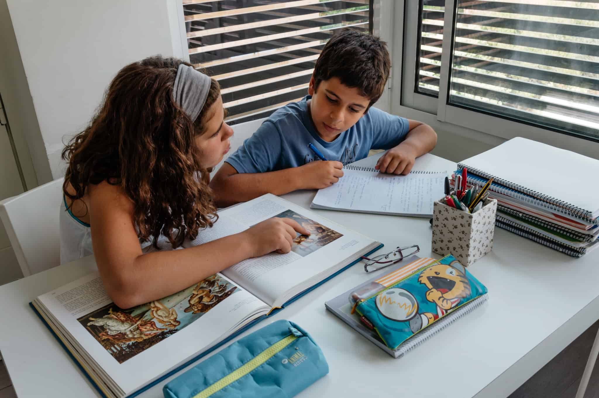 jovens alunos, fazem os trabalhos de casa e estudam com o apoio dos manuais escolares