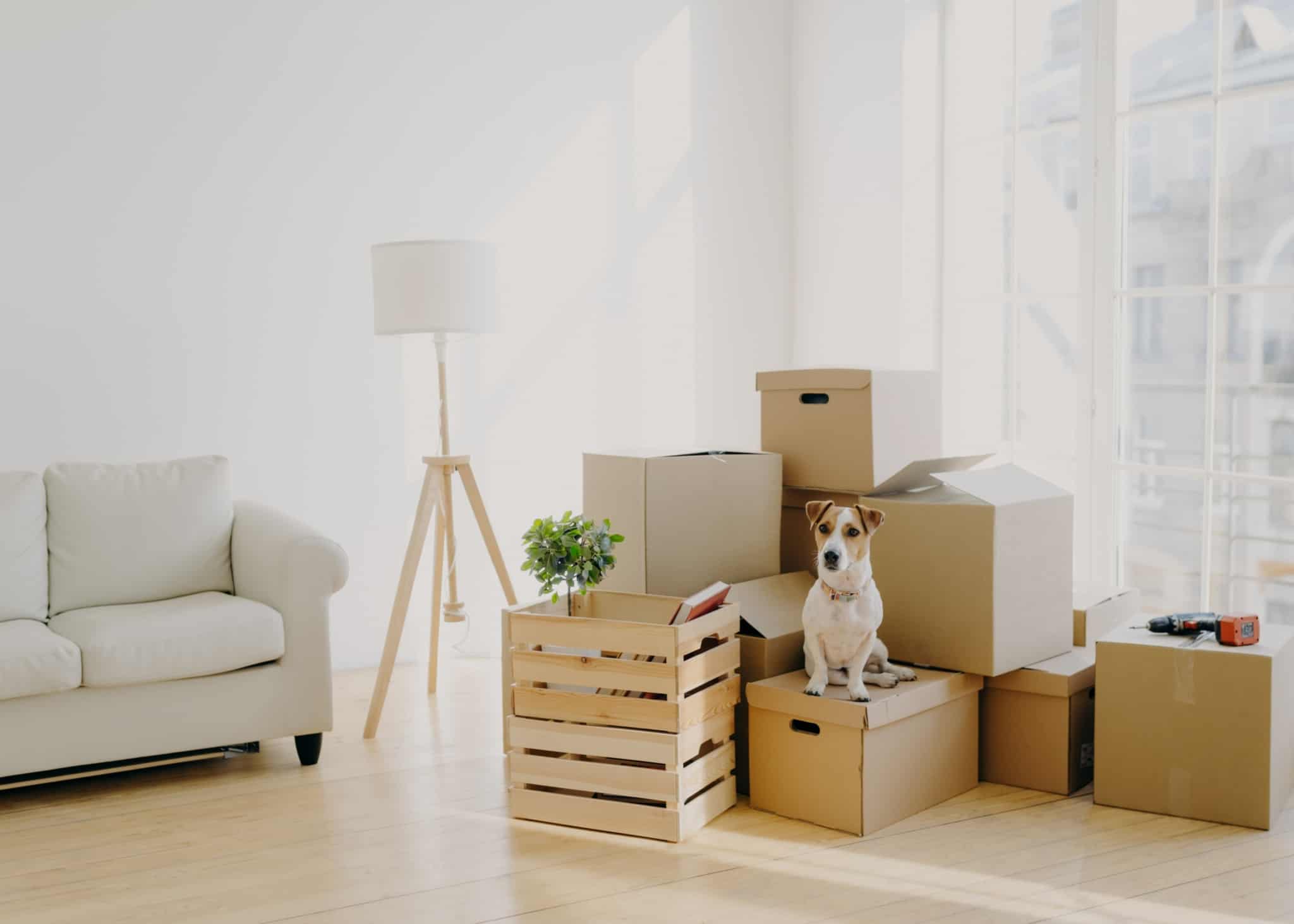 Imagem de uma sala onde se pode ver caixas - comprar casa - mudanças - sair de casa