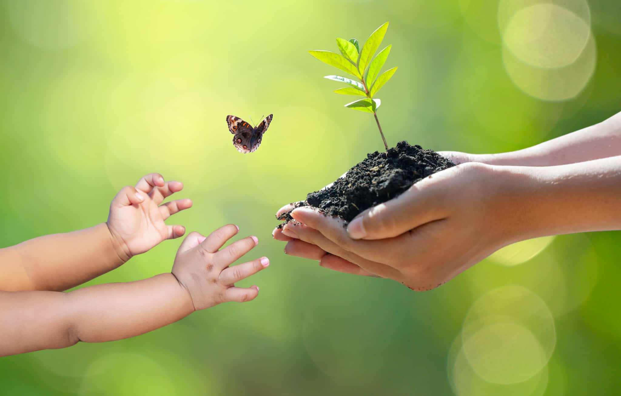produção fotográfica ilustrativa. Fundo verde e o foco numas mãos de adulto com um punhado de terra na direção de mãos de uma criança