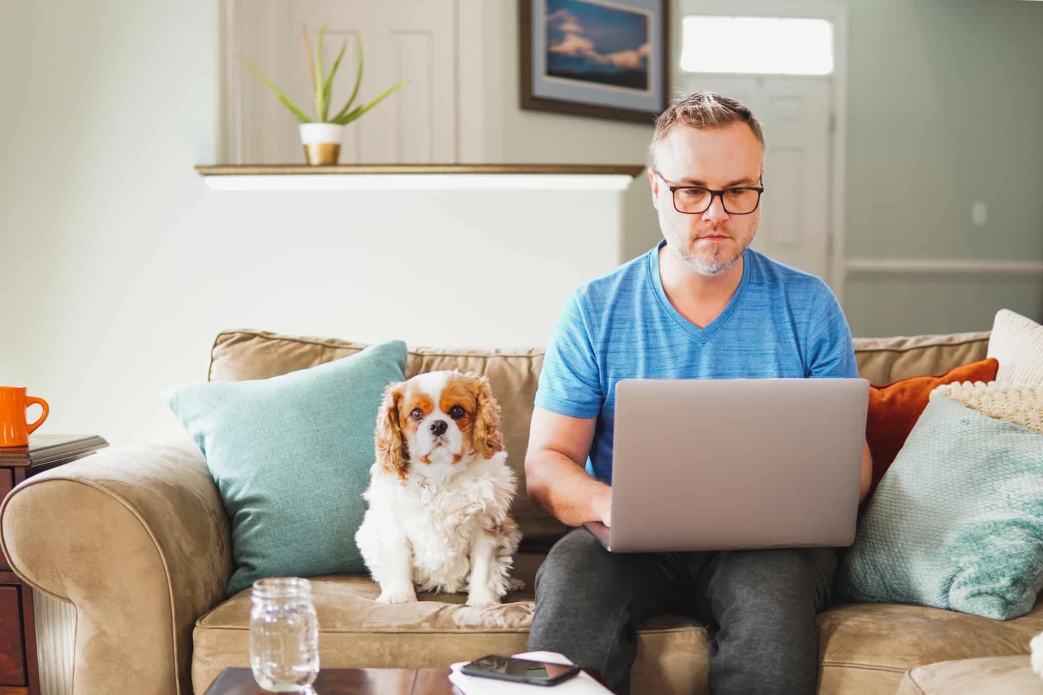 jovem homem, sentado no sofá da sua sala e com o seu cão sentado junto a si, está a trabalhar no computador no seu trbalho extra