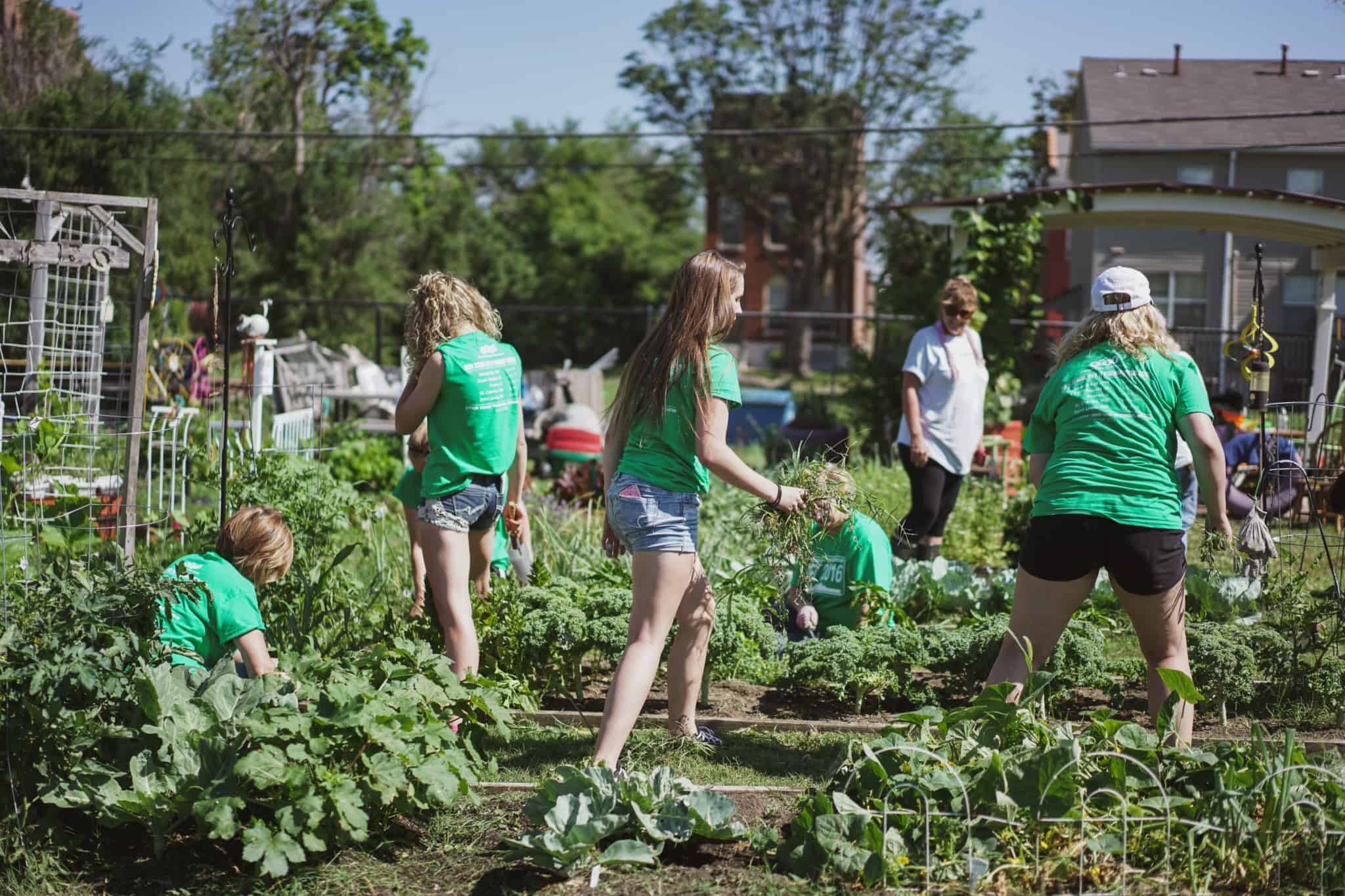 grupo de jovens mulheres faz voluntariado numa horta urbana comunitária