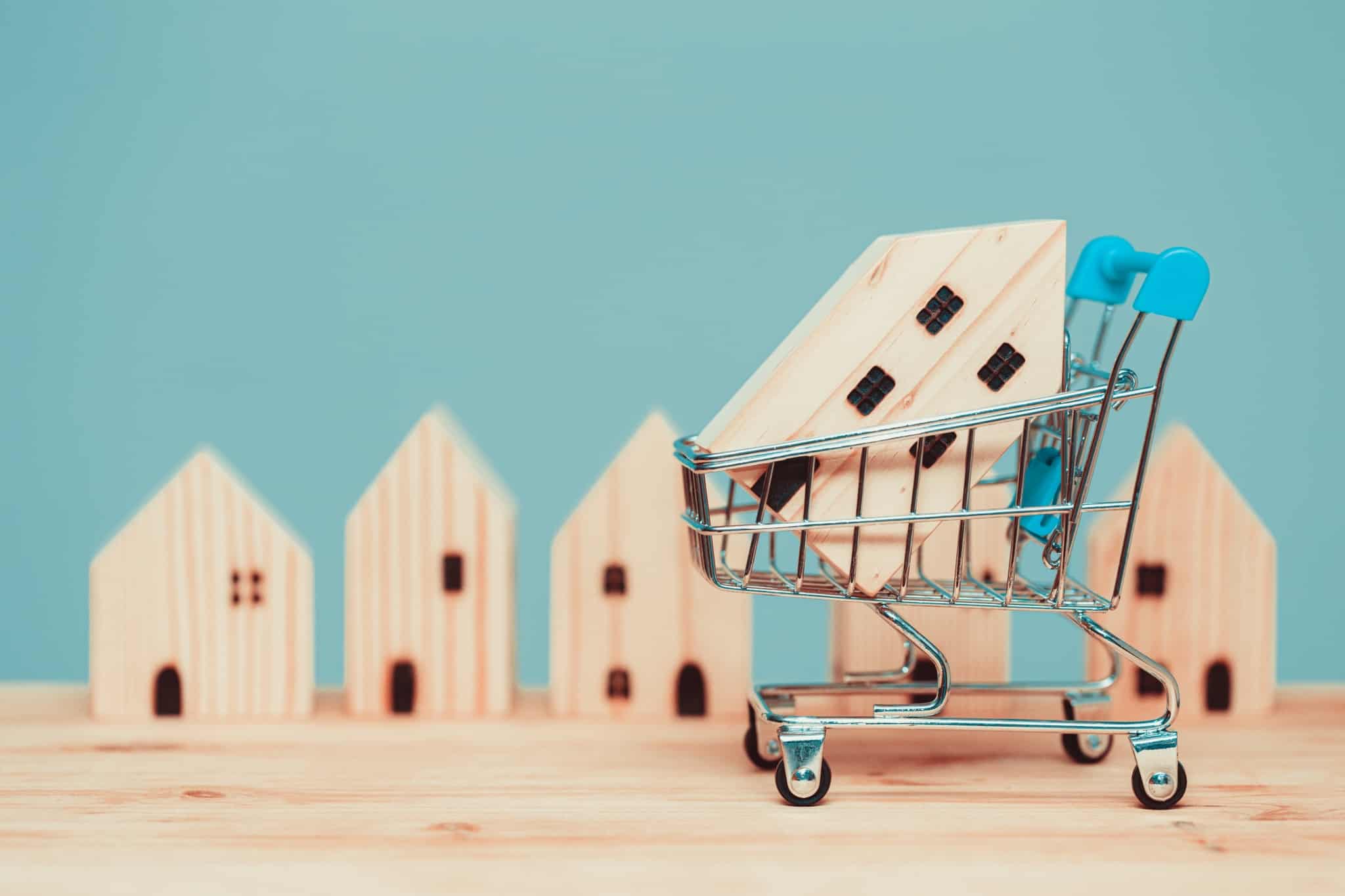 carrinho de compras com casinha de madeira