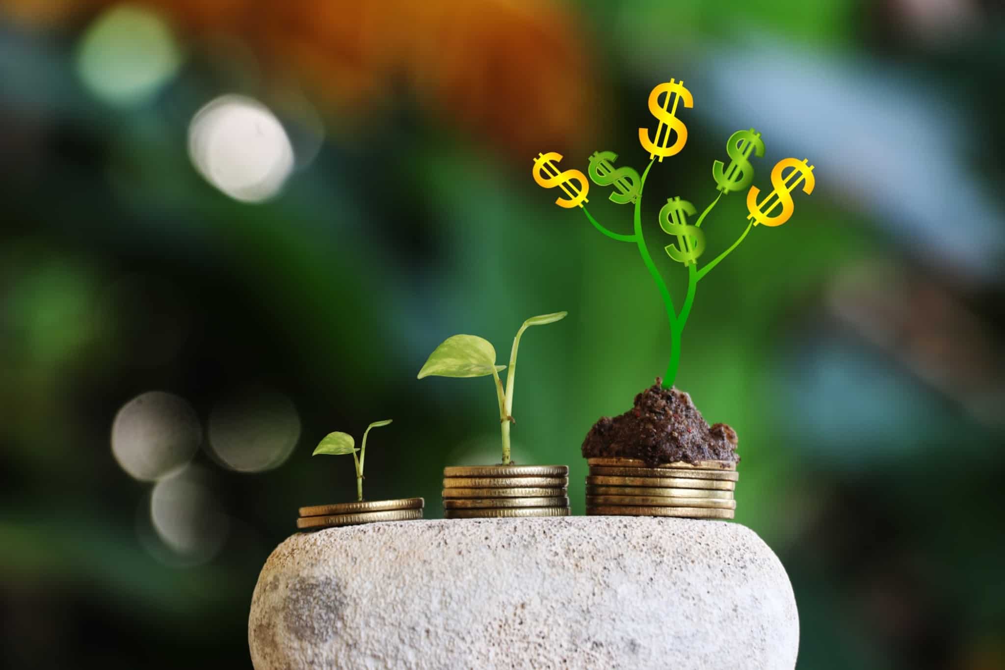 produção fotográfica ilustra investimento sustentável, s ESG, com pequenas pilhas de moedas, em fundo verde, sendo que de uma delas brota um pé de uma planta verde