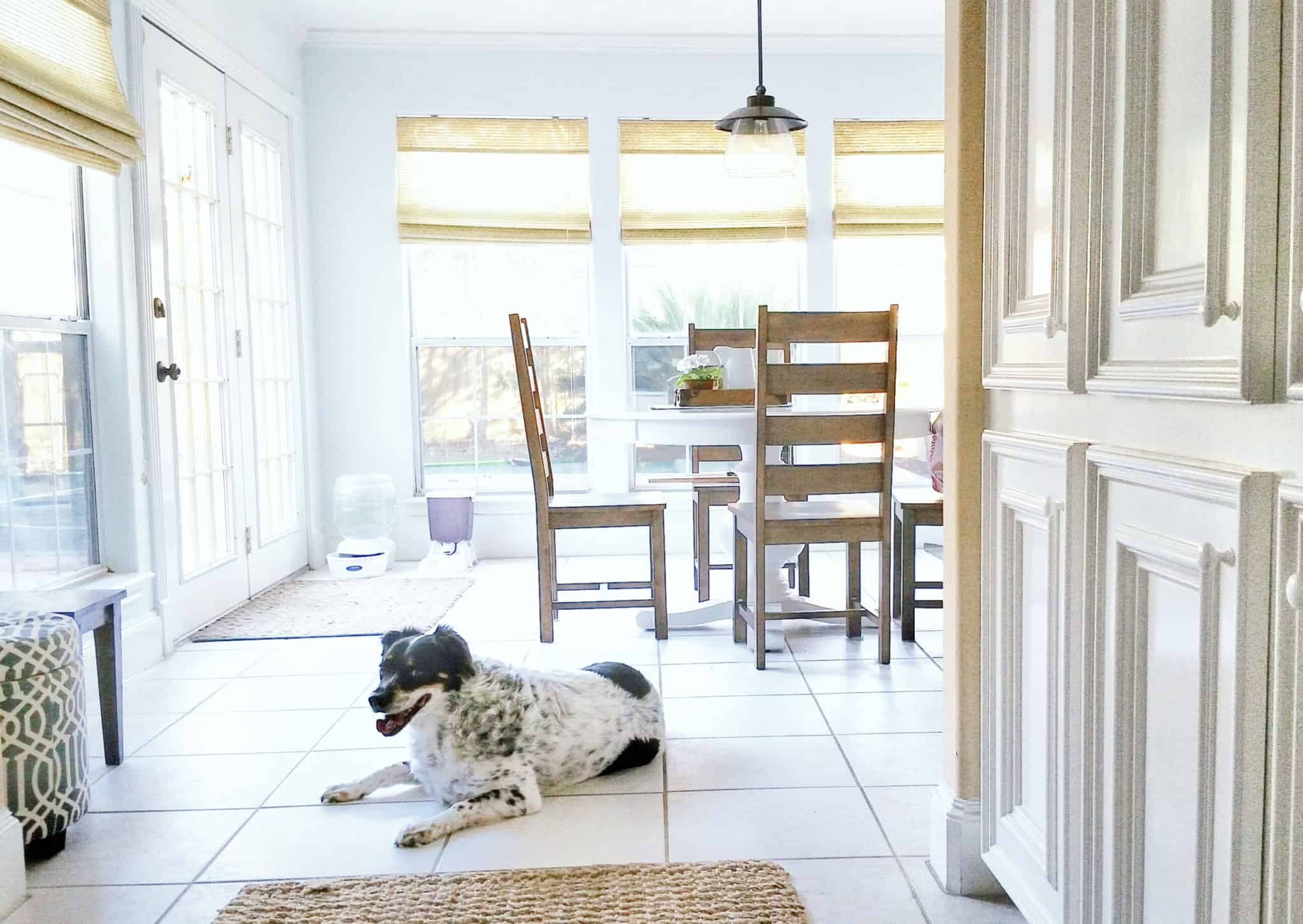 corredor de acesso a um espaço de cozinha muito organizado e limpo e com uma forte luz natural, com um cão deitado logo à entrada