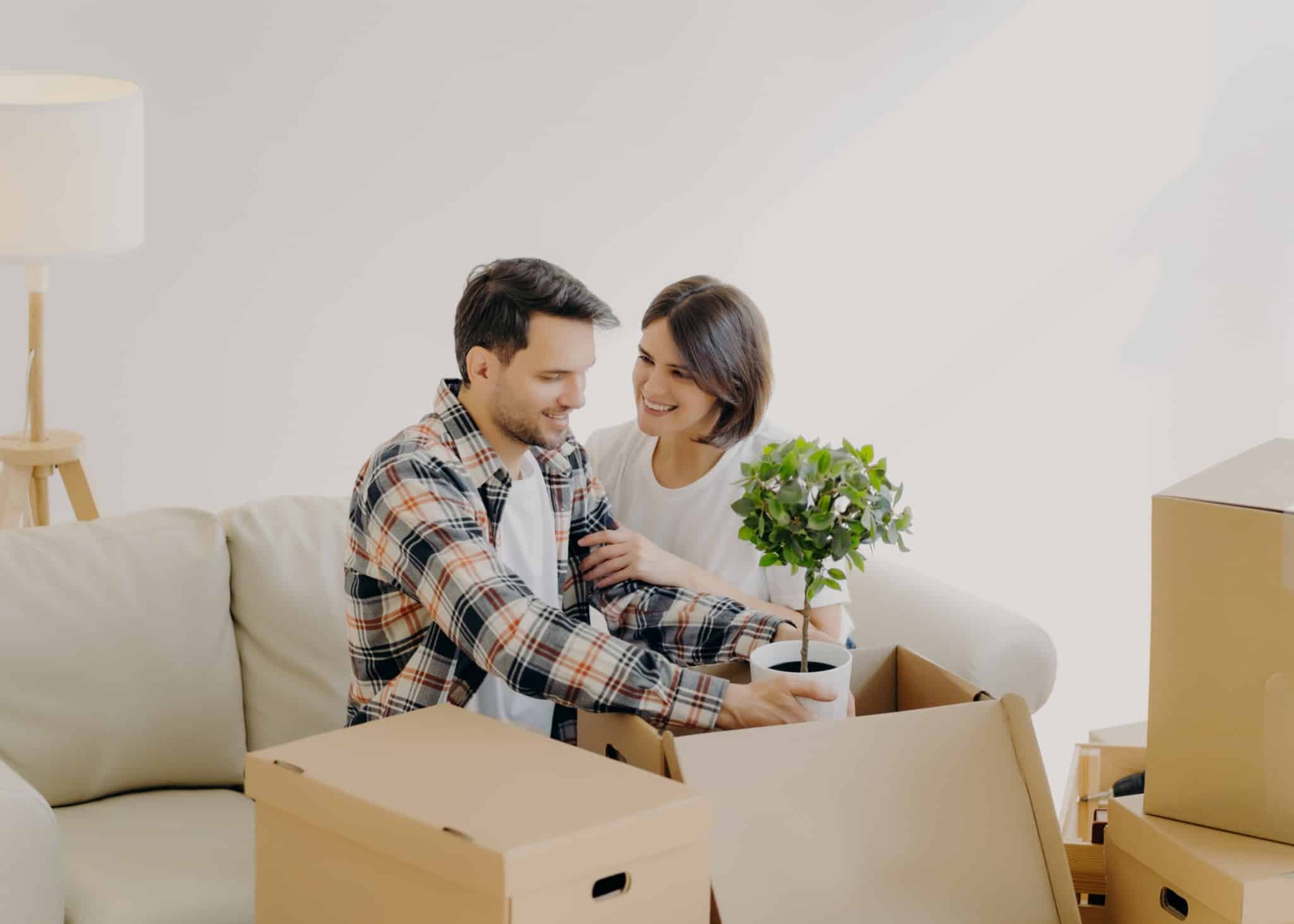 jovem casal a tratar das mudanças está a guardar em caixas todos os seus bens, inclusive um vaso com uma planta