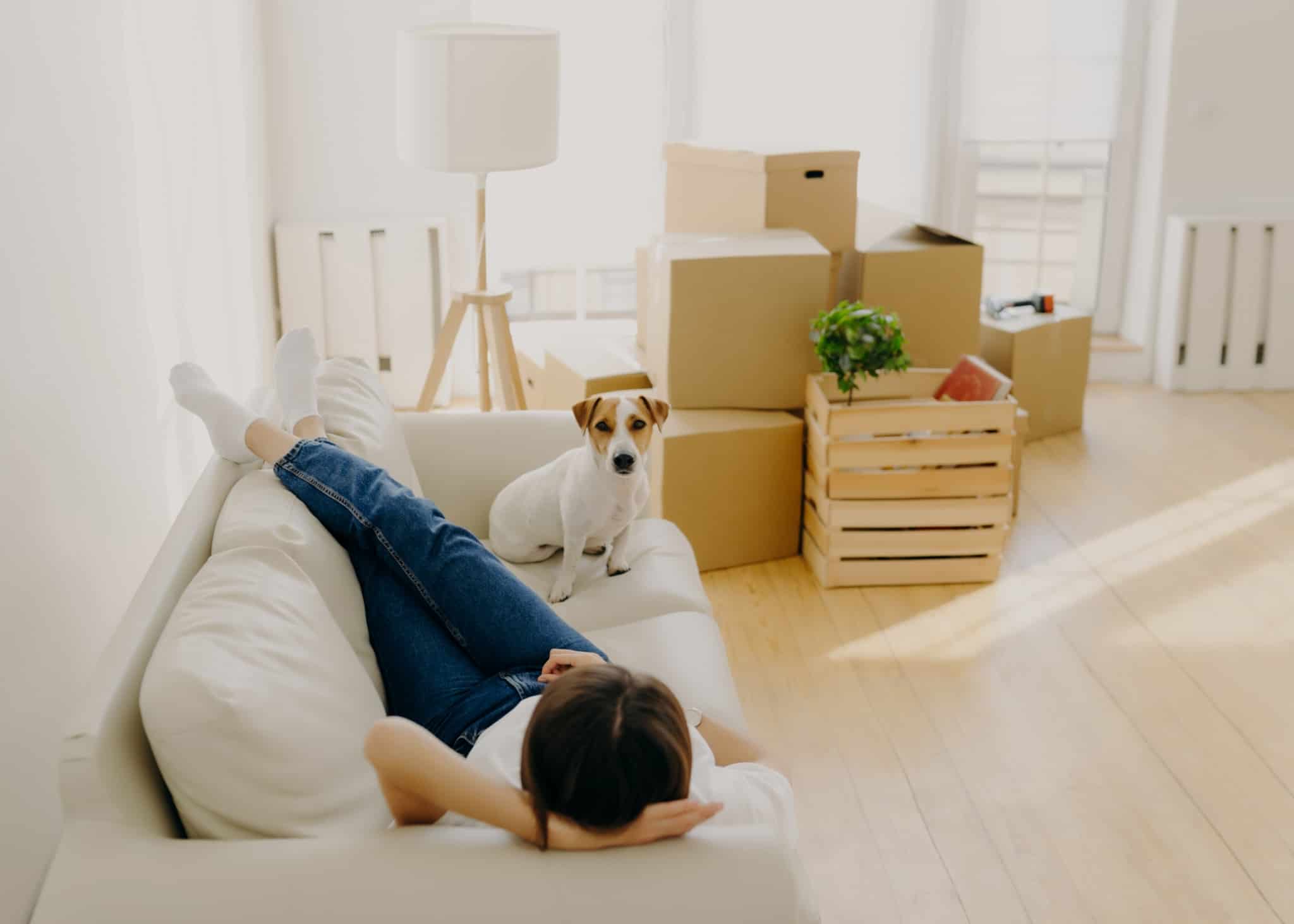 jovem mulher, deitada no sofá que partilha com o seu cão, descansa e contempla a casa acabada de comprar, com um grupo de caixas ainda por organizar na mudança