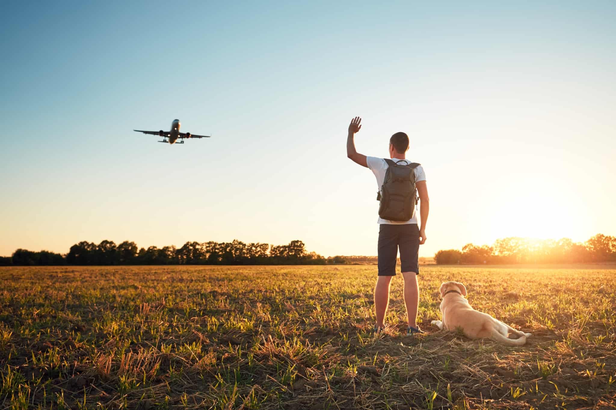 jovem rapaz viajante, com seguro de viagem, acompanhado pelo cão, num campo aberto ao pôr do sol, acena a um avião que passa