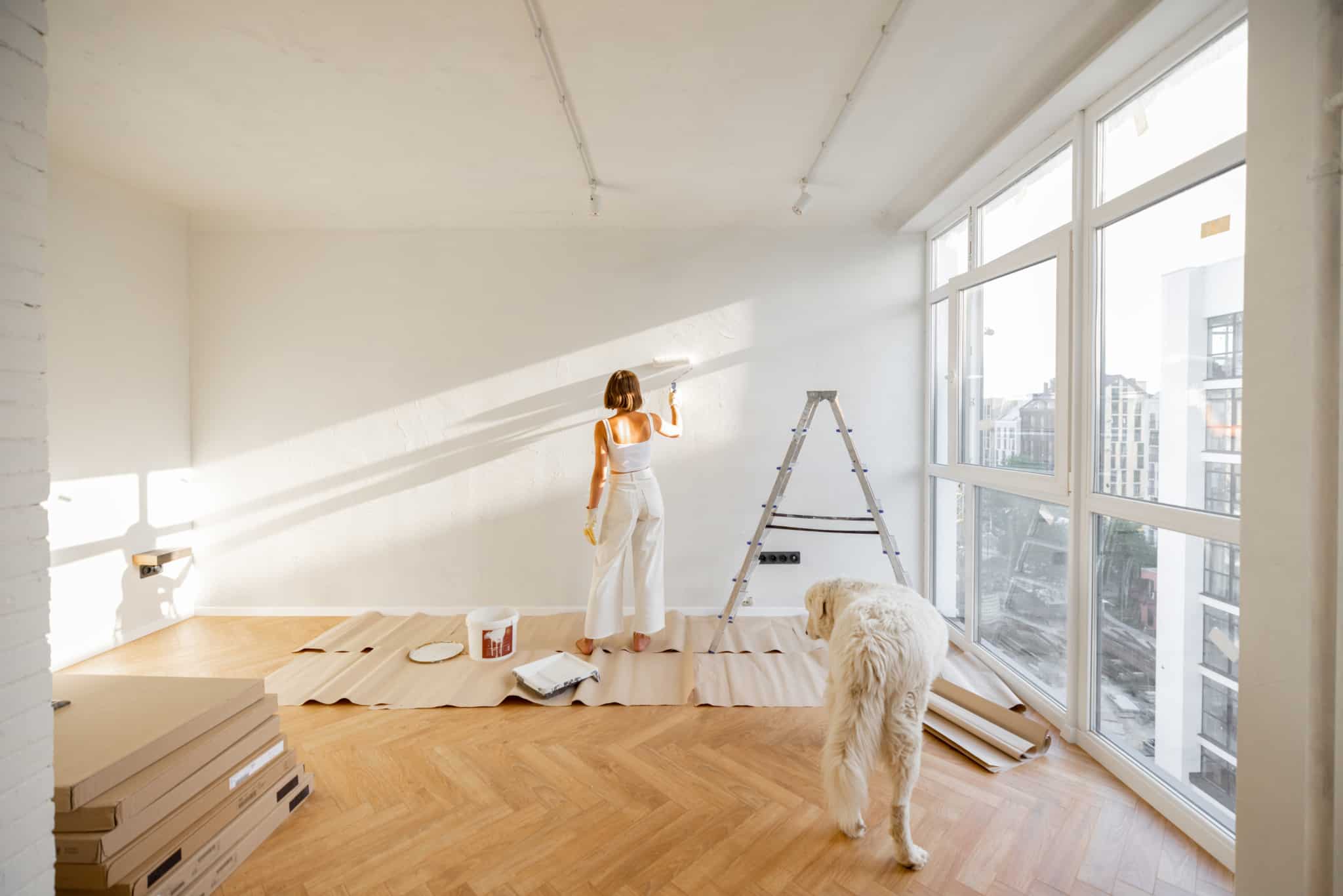 Mulher com cão a fazer obras em casa com crédito pintando a parede com escadote ao lado