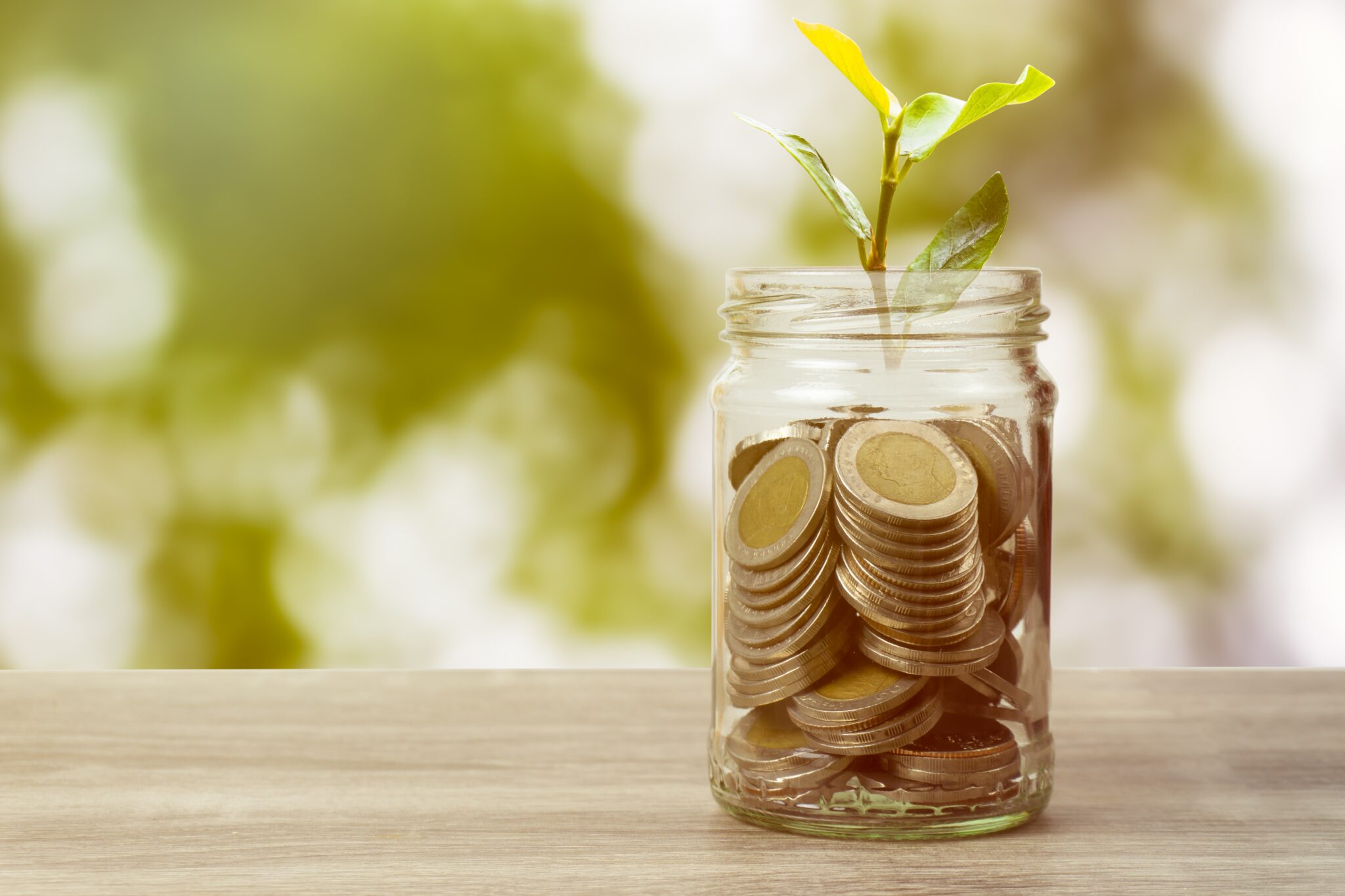 Frasco de vidro com moedas euros dentro e planta a crescer no meio simbolizando PPR 2023
