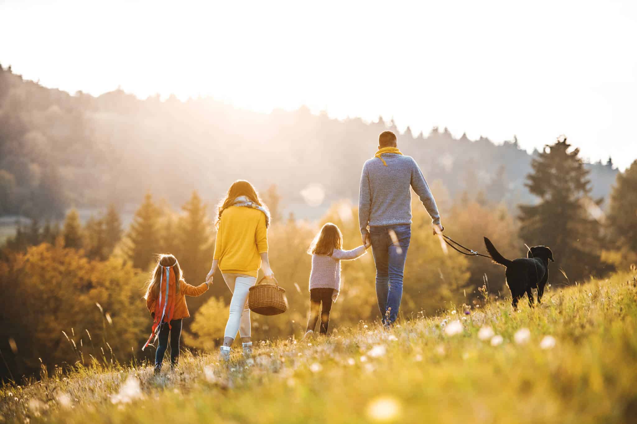 Família de pais e duas crianças pequenas , mais um cão, caminham de mãos dadas numa floresta com o nascer do sol adiante, ilustrando as famílias de acolhimento