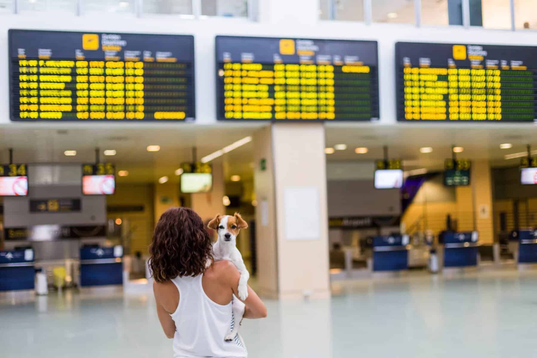 jovem com cão no aerporto