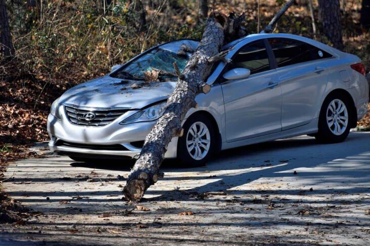 Carro com cobertura de danos próprios danificado por tronco que caiu devido à tempestade